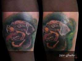 А я такого дядьке делал. Приехал ко мне за 400 км , что бы цобаккена увековечить. ПС. С самим барбосам все хорошо, портрет набивался при жизни )))