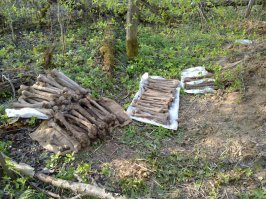 2012 год, Тёмкино,Смоленская область