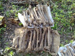 2012 год, Тёмкино,Смоленская область