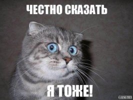 Таксист из Багдада обтянул салон автомобиля защитной пленкой