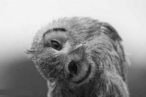 не, там не так надо голову поворачивать :)