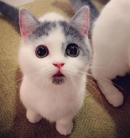 А как же я?