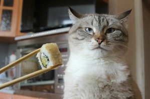 Фотографии подкачанного монаха поразили жителей Таиланда