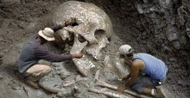 Я так понимаю эти "куры" с птицефермы вот ЭТИХ?