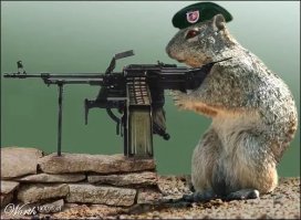 А как же боевые суслики?