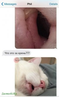 22 фотографии, которые напомнят о вашем испорченном воображении