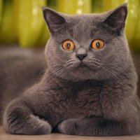 Блин,мой мир никогда не станет прежним...