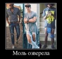 Смешные картинки с надписями