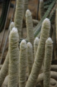 45 предметов, подозрительно похожих на известных персонажей