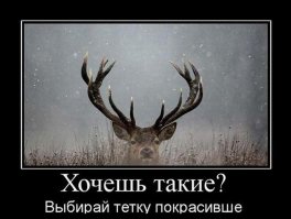 Почему обманутый муж называется "рогоносец"?