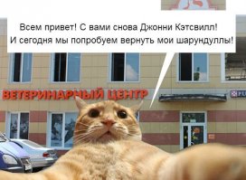 Посвящается всем, кто взял или хочет взять отказных животных