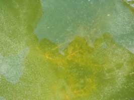 Сурово у нас... ждем лед в конце октября и на рыбалку...