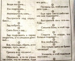 В парикмахерской: