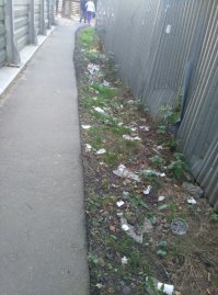 Люди сами по себе свиньи и многие даже которые тут читает и пишет. Фотка из подмосковного щелково. Может это сделали не люди? Я зарегился на "доброделе" и приложил фотки с просьбой убрать, о, да наконец то проходя в очередной раз, там было убрано, днём. На следующий день, проходя там же, на уже чистом участку была навалена кУчА Г/О/В/Н/А! Мля! В месте где постоянно ходят люди, на только, что убранной территории красовалась куча дерьма с грязной туалетной бумагой! /Е/б/а/т/ь! Вам срать негде? Свиньи не люди, а общество в целом, мы приучились быть свиньями и детей тоже в массе хер чему учим.