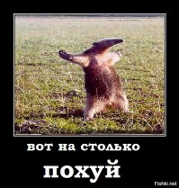 Продажи нового iPhone провалились по всему миру: Почему "яблочный" гигант потерпел неудачу?