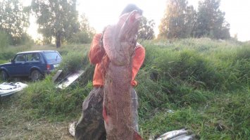 Достойный улов рыбаков