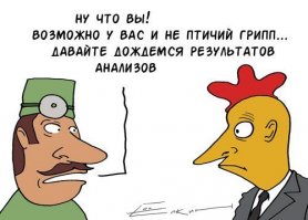 Смешные картинки с надписями