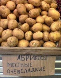 Свежая подборка демотиваторов, которые поднимут вам настроение