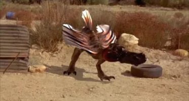 Вот про этих цыпочек забыли)))