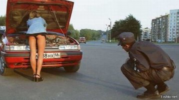 Вот что случается, когда за руль садится истинная автоледи