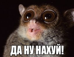 Фары