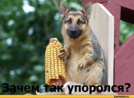45 предметов, подозрительно похожих на известных персонажей