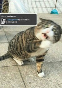 Кто в теме - поймет)))