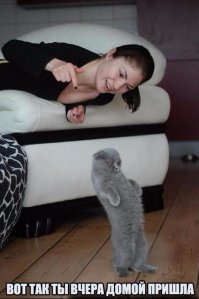 Пост, нашпигованный чуткостью и клиентоориентированностью