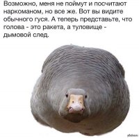 45 предметов, подозрительно похожих на известных персонажей