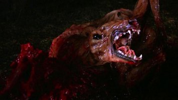 В "Нечто" тоже сначала песик милый такой...