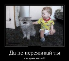 Любопытство до добра не доведет: коты, попавшие в ловушку