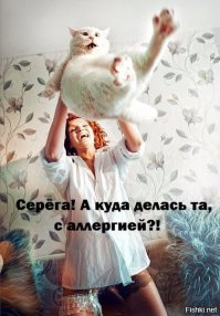 Гифка с котом напомнила это: