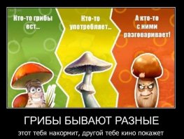 Грибы - это двойное наслаждение: и погуляли, и наелись!