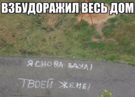 Надпись на асфальте увиденная 27.09.2017 г