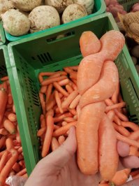 Картинки, на которые придется взглянуть дважды