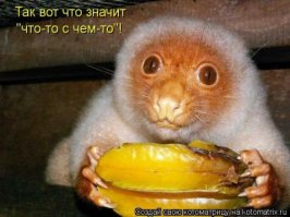 Картинки, на которые придется взглянуть дважды