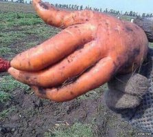 Картинки, на которые придется взглянуть дважды