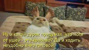 Ах, эти ноги от ушей!