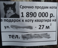 Дорогие покупки, с автомобилями впридачу