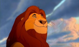 Расплата за любопытство: 30 котов, ужаленных пчелами и осами