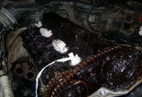 Недавно перебирал редуктор от шиномонтажного станка, такая же шняга была внутри.