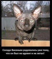 Посвящается всем, кто взял или хочет взять отказных животных