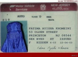 А главное - по одним правам весь гарем ездить может!