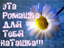 Нашу волю не сломить- пили, пьём и будем