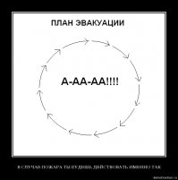 Мексиканские спасатели и военные несколько суток спасали из-под завалов девочку, которой никогда не было