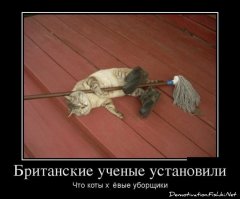 Немного о Туманном Альбионе (добавляйте кто еще что знает)