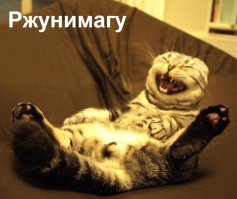 Спасибо, что это случилось не с нами: 25 эпичных фейлов