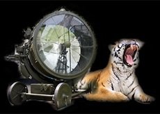 Во время свадебной фотосессии жених не раздумывая прыгнул в реку, чтобы спасти тонущего мальчика 