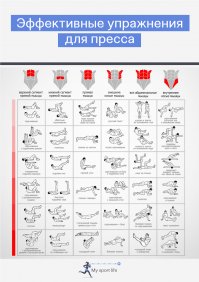 Автор количество повторов это хорошо,но упражнений на пресс уйма какие делать.