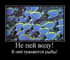 Прикольные мемы и просто картинки! Конечно же "боян"